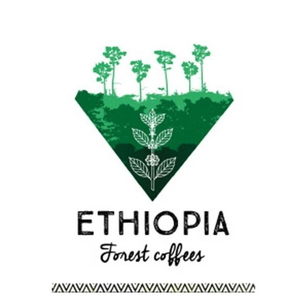 Ethiopia forest coffees cafés Maurice 83 Toulon