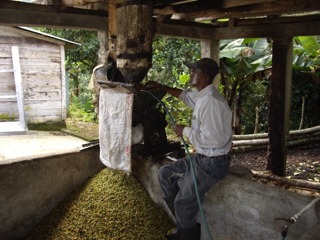 Café Cuba Sierra Maetra édition limitée 100 % arabica Cafés Maurice Toulon 83