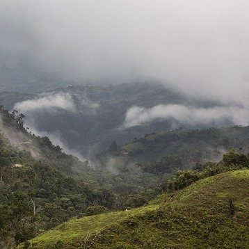 La région de Cajamarca Pérou Cafés Maurice torréfacteur Toulon 83