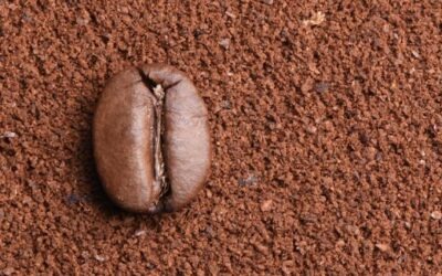 Choisir la mouture de café pour votre machine à expresso