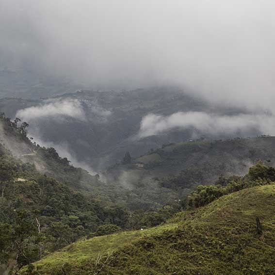 La région de Cajamarca d’où provient le Café Pérou Bio Mision Verde Cafés Maurice torréfacteur Toulon Sanary 83